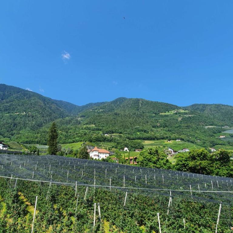 Haus Sonnegg - Apartment mit Blick auf die Berge - 7