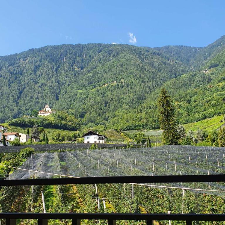 Haus Sonnegg - Apartment mit Blick auf die Berge - 8