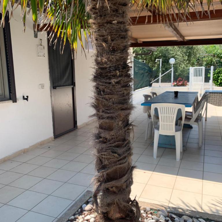 Quirino Residence - Appartamento Standard - 17