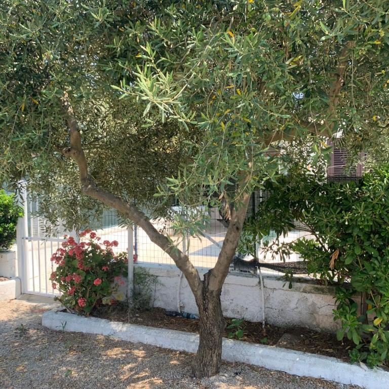 Quirino Residence - Appartamento Standard - 25
