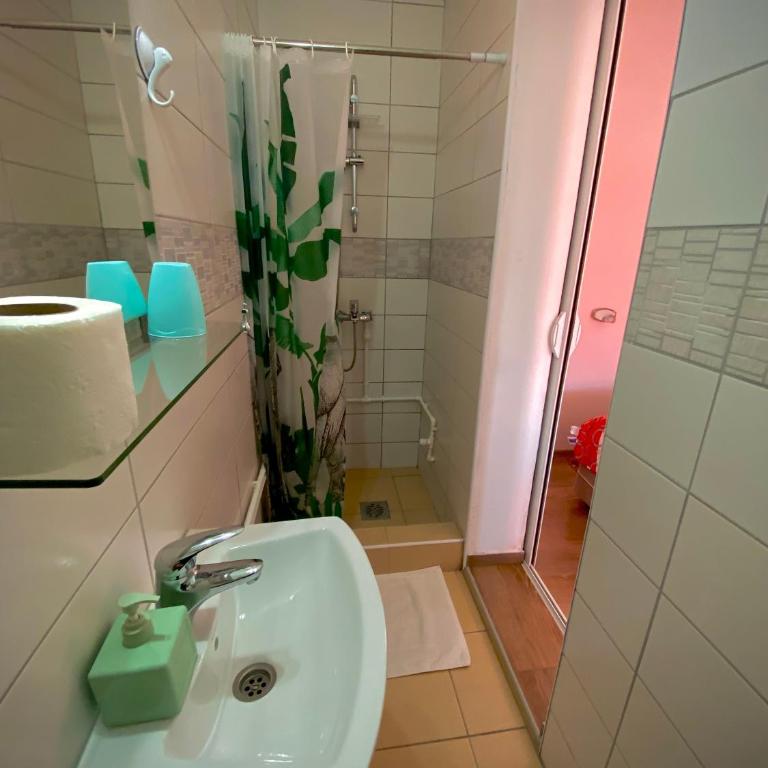 Apartment Ruzica - Deluks Dvokrevetni Studio sa Bračnim Krevetom - 3