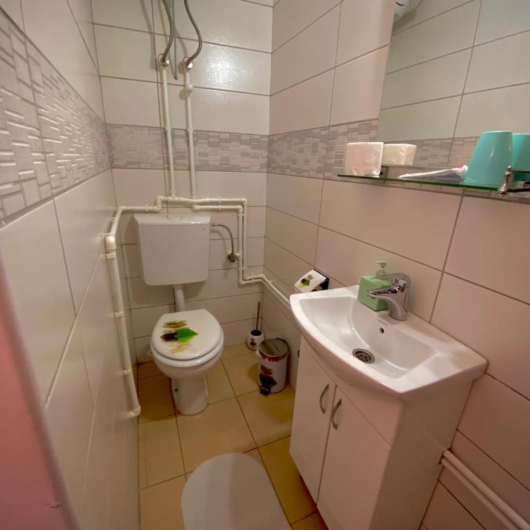 Apartment Ruzica - Deluks Dvokrevetni Studio sa Bračnim Krevetom - 4