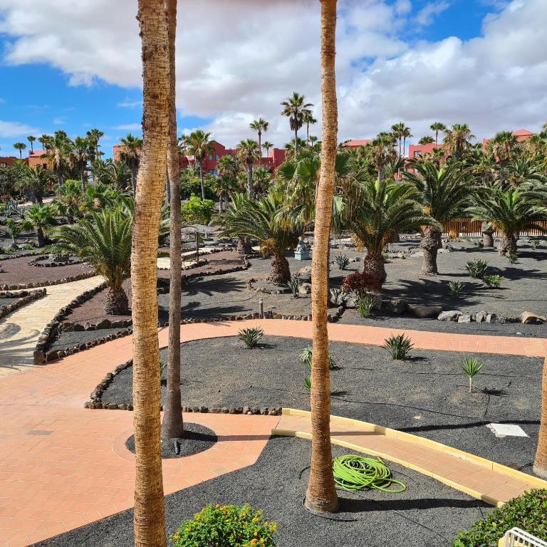 Oasis Royal F319 - Apartamento de 1 dormitorio - 2