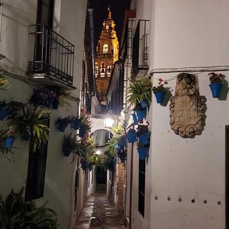 A 20 Metros De La MEZQUITA CATEDRAL ,APARTAMENTOS TURISTICO CESPEDES 5 - Two-Bedroom Holiday Home - 7