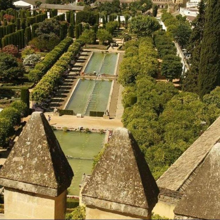 A 20 Metros De La MEZQUITA CATEDRAL ,APARTAMENTOS TURISTICO CESPEDES 5 - Deluxe Studio - 23
