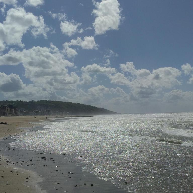 "Le Cocon d'Estelle" Grand Studio vue mer, 30m de la plage - Studio with Sea View - 20