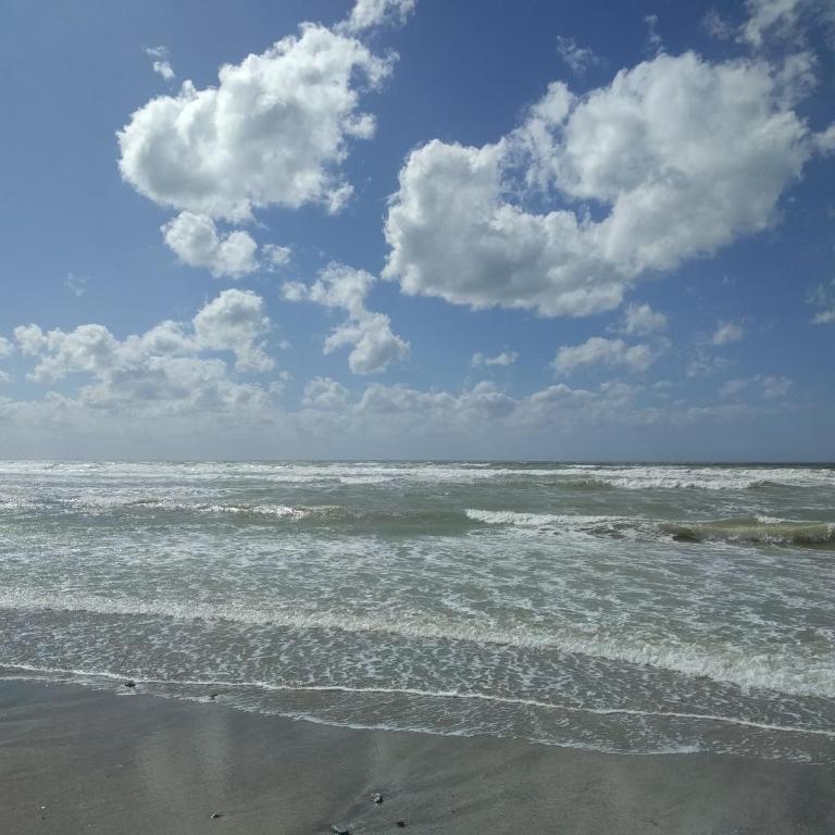 "Le Cocon d'Estelle" Grand Studio vue mer, 30m de la plage - Studio with Sea View - 21