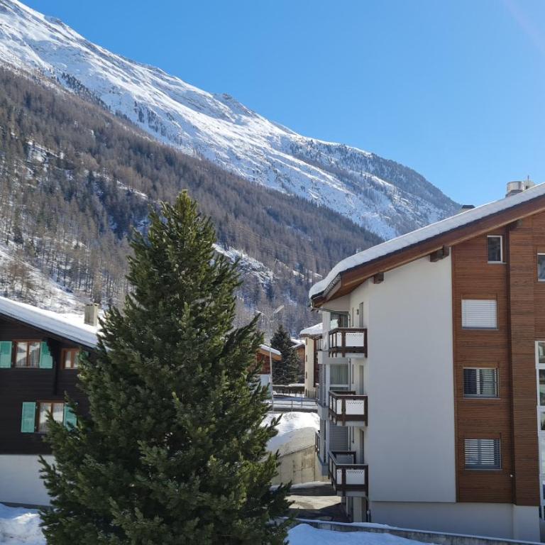 "alti Post" zentralgelegene, stilvolle Dachwohnung - Apartment mit 1 Schlafzimmer - 36