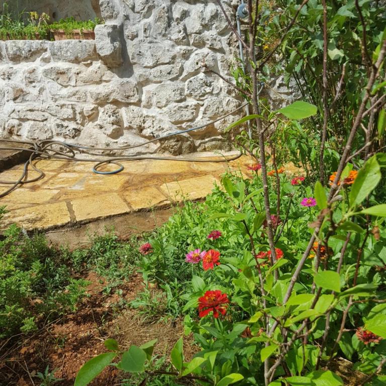 Trullo magico - Appartamento con 1 Camera da Letto - 10