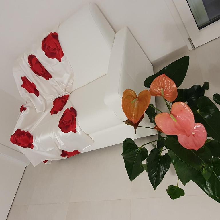 Casa consiglia - Appartamento con 2 Camere da Letto - 28