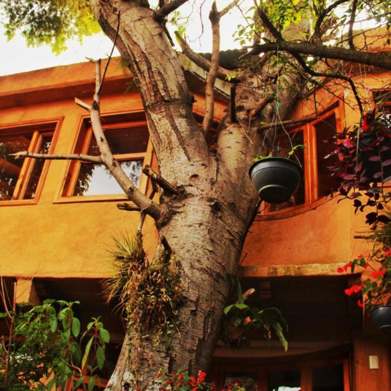Hospedaje Boutique Paz Creativa - Deluxe King Room - 8