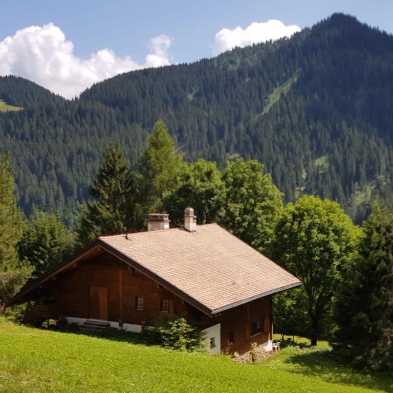 Appartement - dans le chalet Carmazin - Two-Bedroom Chalet - 9