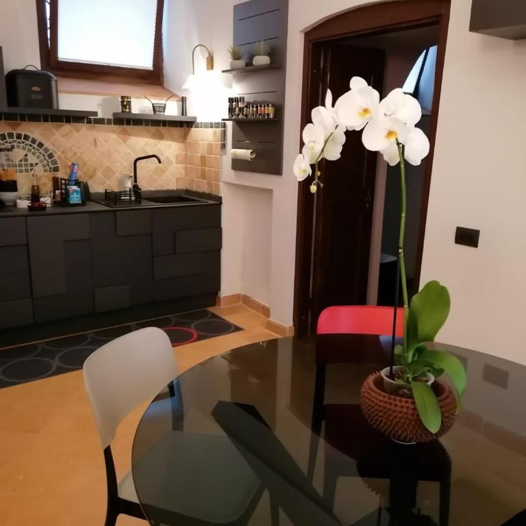 La perla nel pozzo - Appartamento con 1 Camera da Letto - 1