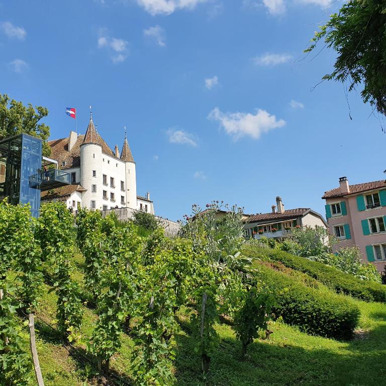Résidence Entre Monts et Lac - Apartment mit Blick auf die Berge - 34