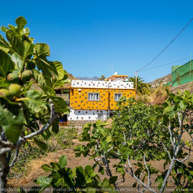 Casa Ignacita VV - Casa de 6 dormitorios - 62