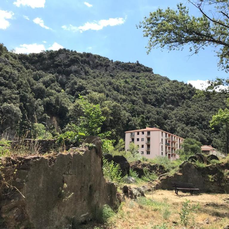 T3 pont romain Amelie les bains - Appartement 2 Chambres - 8