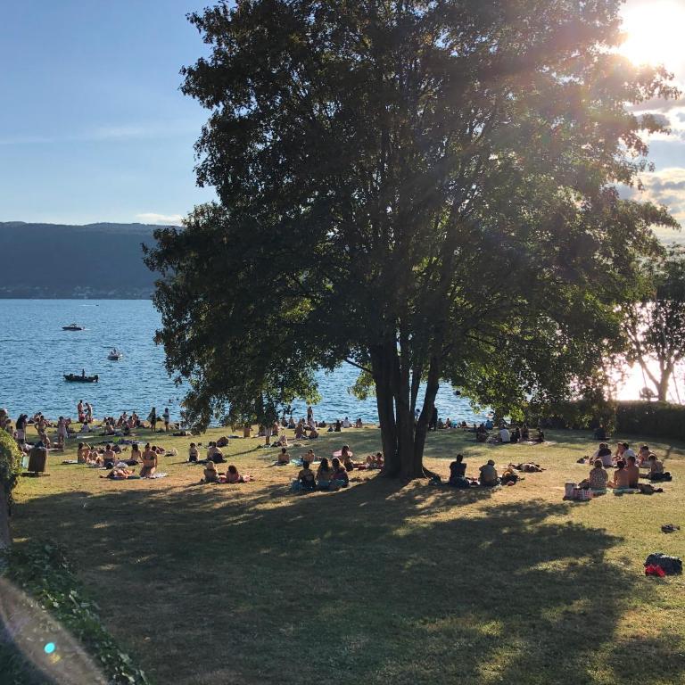 Le grand duplex du lac - Appartement 1 Chambre - 33