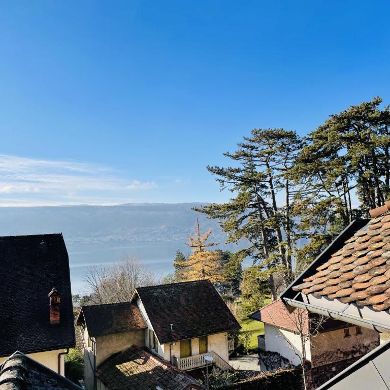 Le grand duplex du lac - Appartement 1 Chambre - 26