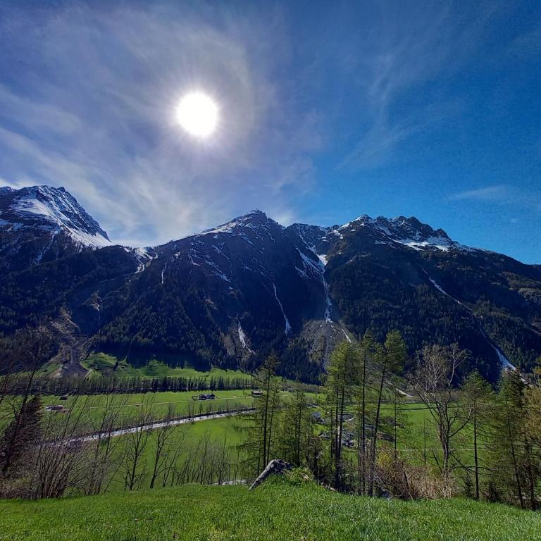 Haus Anna Lena - Apartment mit Blick auf die Berge - 9