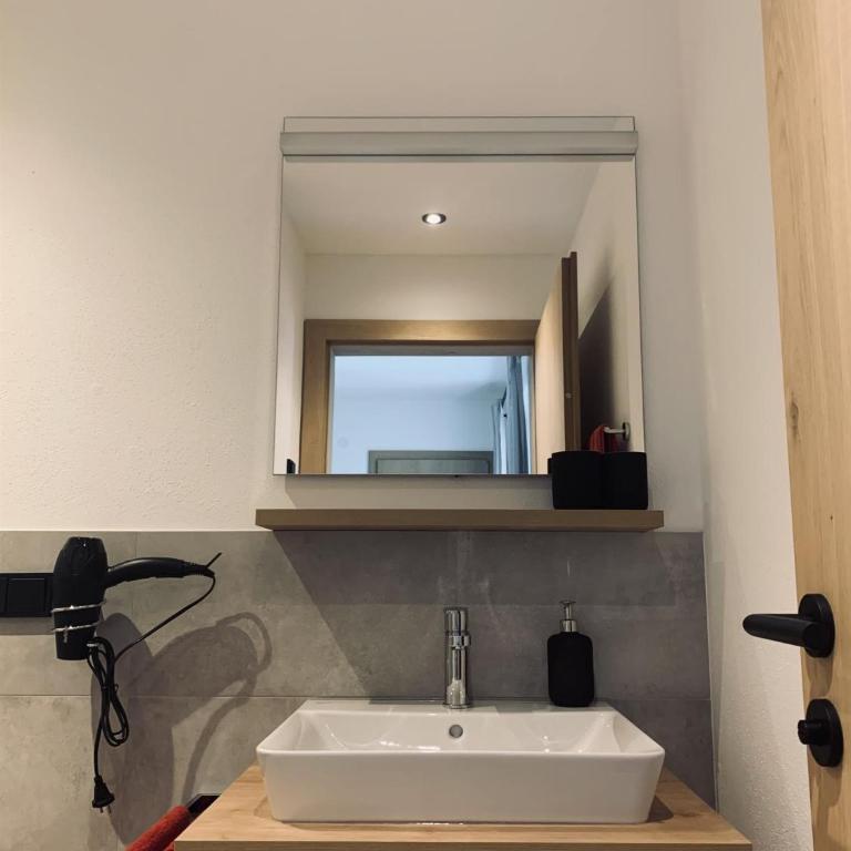 Ferienwohnung Troger - Apartamento de 1 dormitorio con ducha - 43