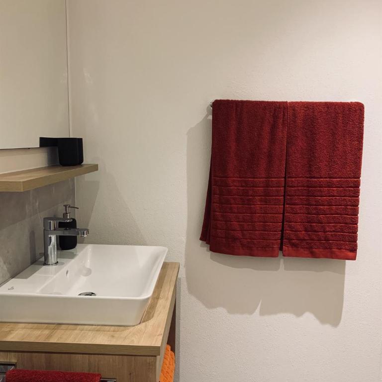 Ferienwohnung Troger - Apartamento de 1 dormitorio con ducha - 44