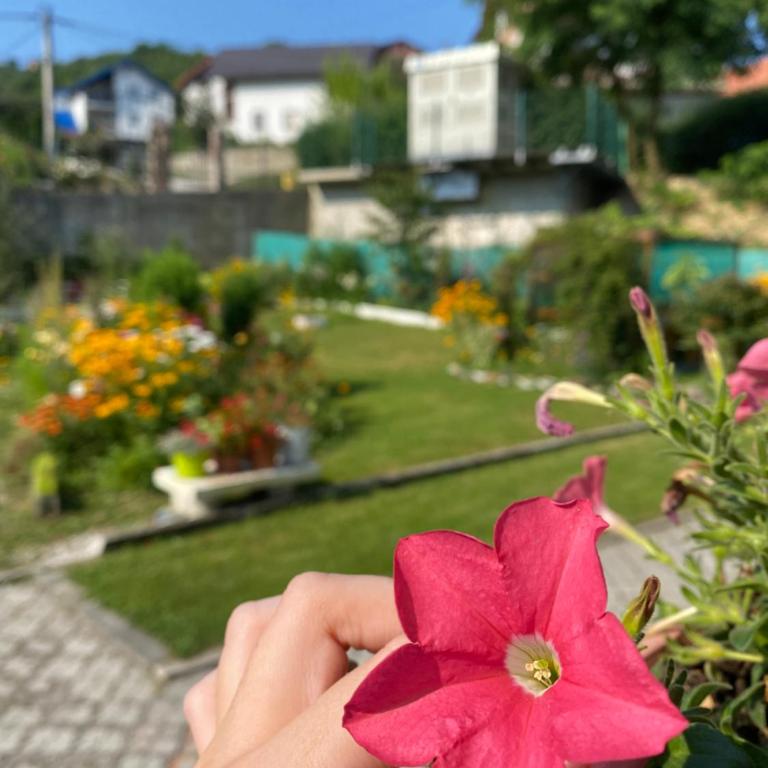 Family Flower House - Four-Bedroom House - 12