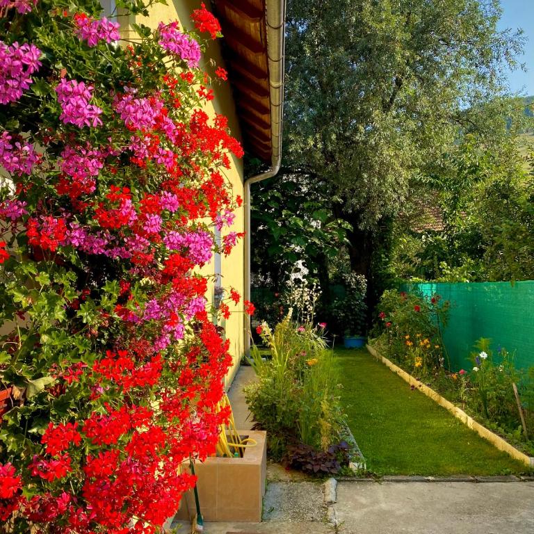 Family Flower House - Four-Bedroom House - 18