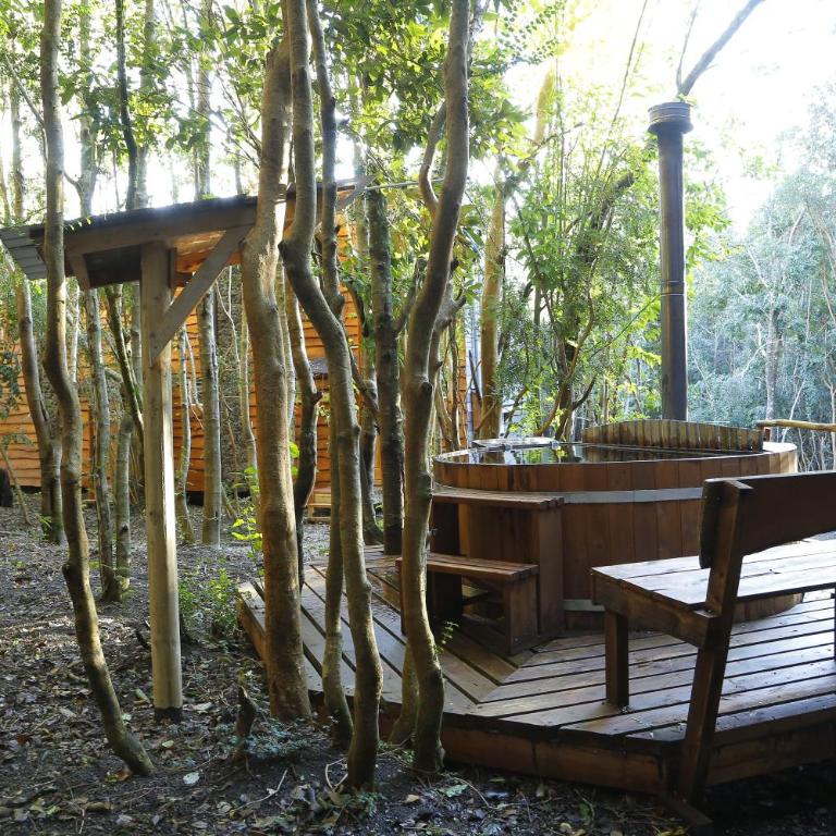Cabañas Ensenada Bosque Nativo - Loft - 2