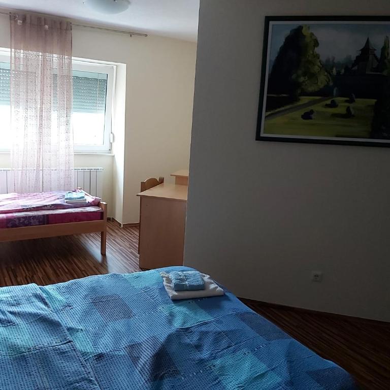 Vila Jasmina - Villa with Garden View - 34
