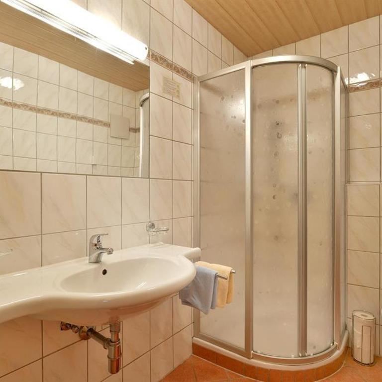 Landhaus Alpina - Apartment mit 1 Schlafzimmer und Dusche - 3