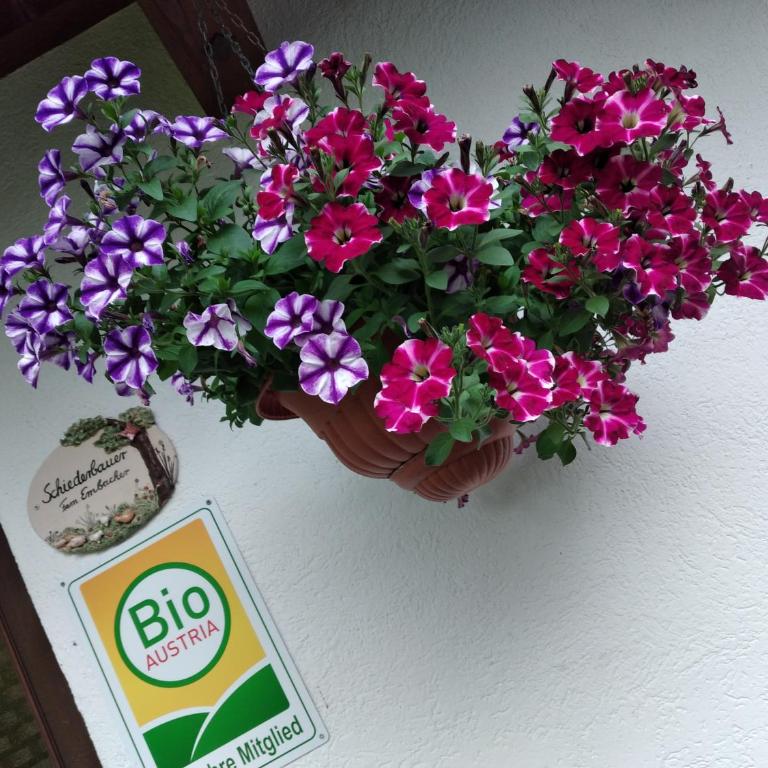 Bio-Bauernhof Schiederhof - Apartment mit 3 Schlafzimmern - 15