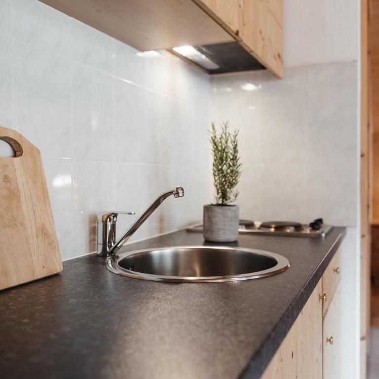 Garni Ciasa Urban - Studio mit Balkon (3 Erwachsene) - 8