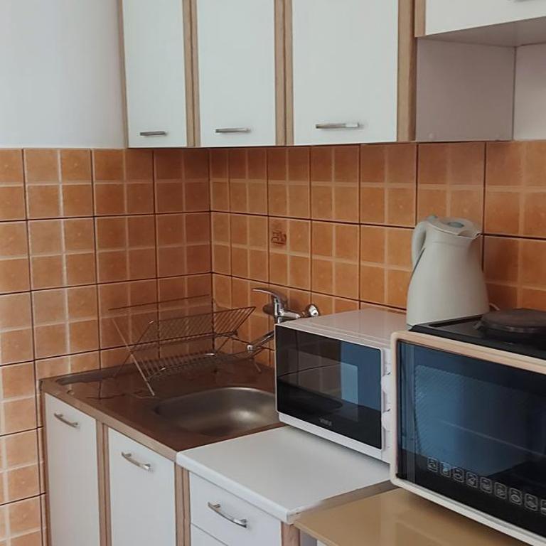 Vesna's Dream - Apartman sa 1 Spavaćom Sobom - 20