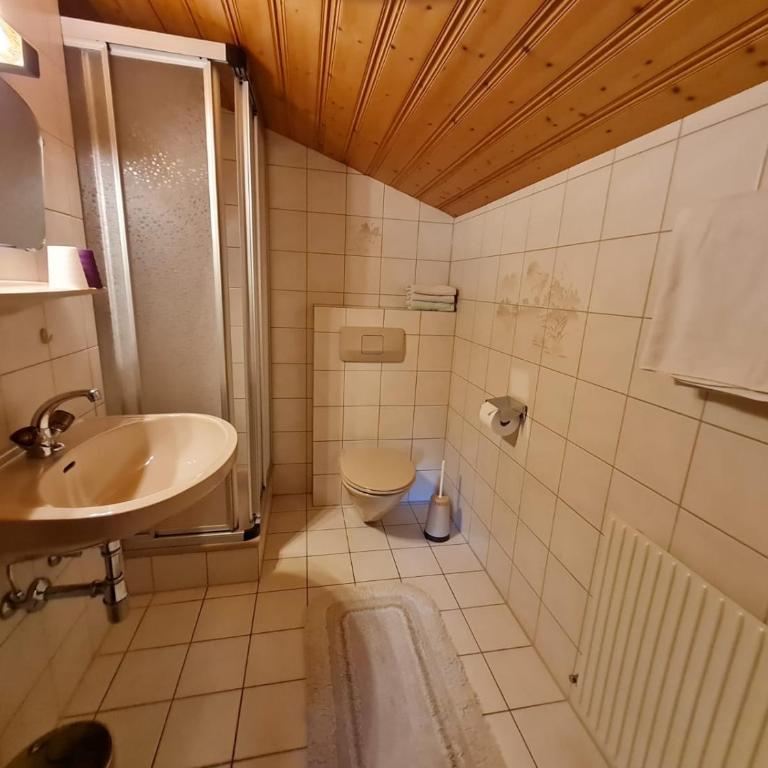 Apartement Obweghof Abtenau, Salzburger Land - Apartment mit Blick auf die Berge - 5