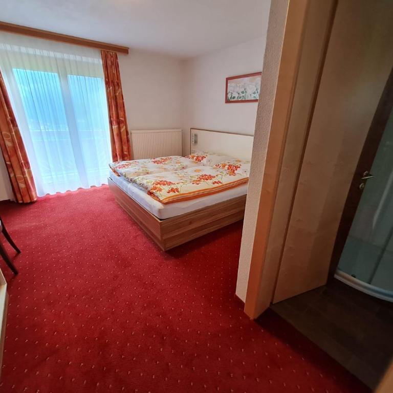 Apartement Obweghof Abtenau, Salzburger Land - Apartment - 9