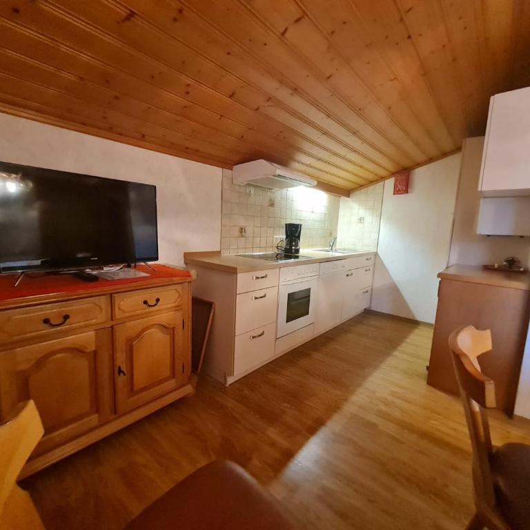 Apartement Obweghof Abtenau, Salzburger Land - Apartment mit Blick auf die Berge - 6