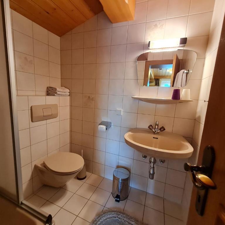 Apartement Obweghof Abtenau, Salzburger Land - Apartment mit Blick auf die Berge - 10
