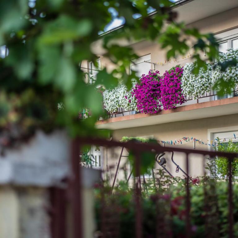 Apartman Nikola - Apartman sa 1 Spavaćom Sobom - 17