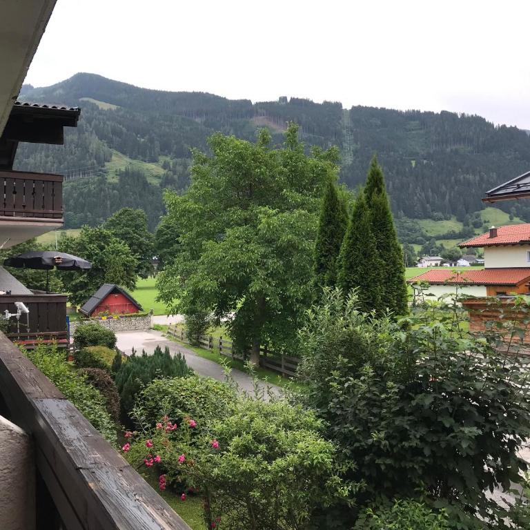 Edelweiss Apartment - Apartment mit 1 Schlafzimmer - 19