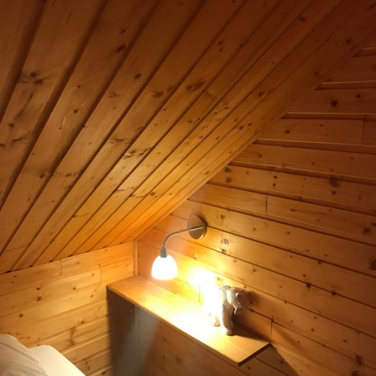 Duplex cosy jusqu'à 6 personnes- chalet des Pléiades - départ skis aux pieds en bordure de piste sans portage - au milieu des fleurs en été - l'autre duplex du chalet est également à nous - Chalet - 21