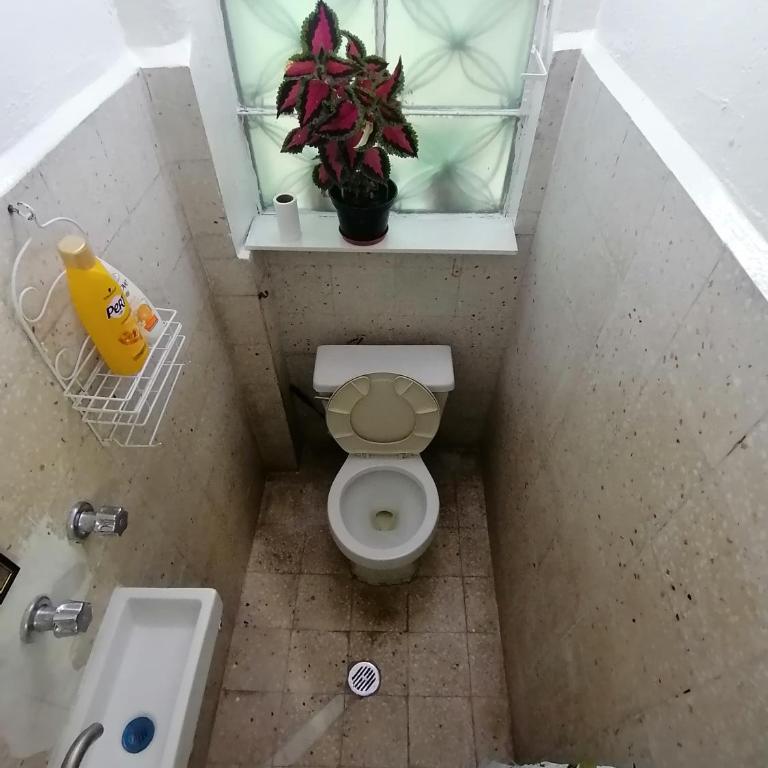 DEPARTAMENTO CERCANO AL AEROPUERTO T2, A 2 CALLES - Apartment - Ground Floor - 21