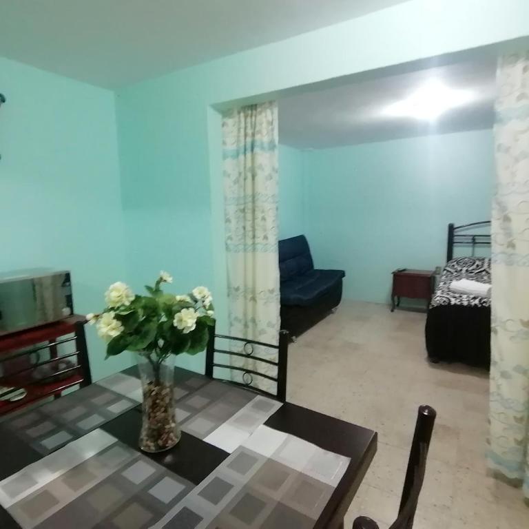 DEPARTAMENTO CERCANO AL AEROPUERTO T2, A 2 CALLES - Apartment - Ground Floor - 7