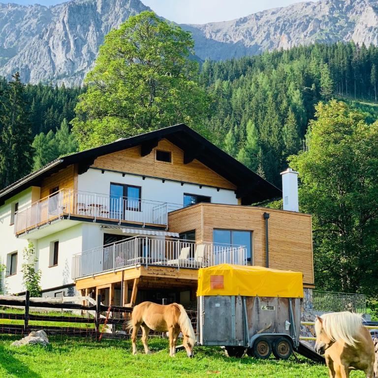 Bergkristallhaus - Studio - 13