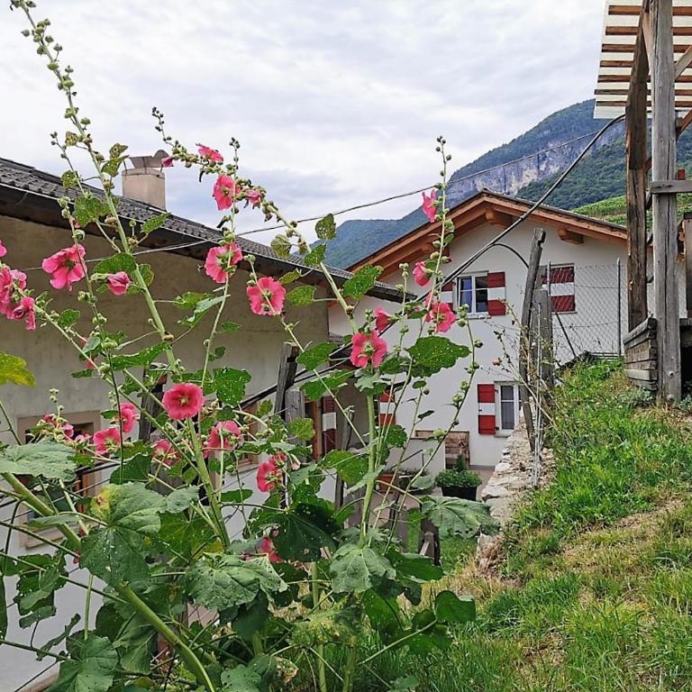 Voldersberghof - Apartamento de 3 dormitorios - 13
