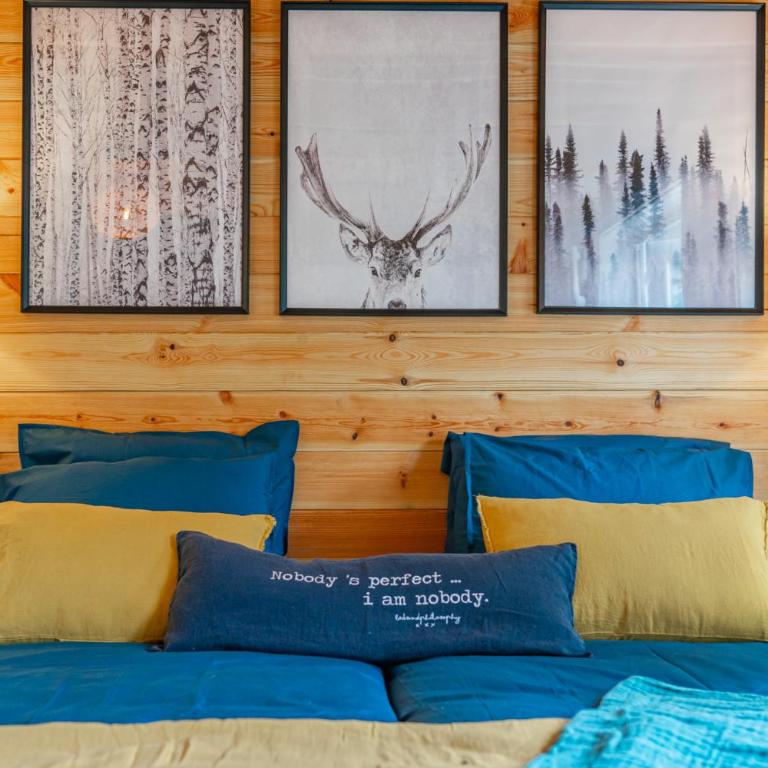 Hygge Lodge Annecy - Chalet 1 Chambre - 8