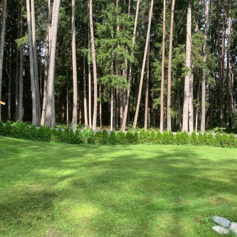Waldchalet am Eichhof - Two-Bedroom Chalet - 43