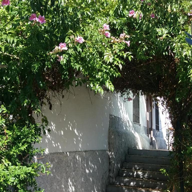 Cortijo "Era Grande 1" - Casa de 6 dormitorios - 9