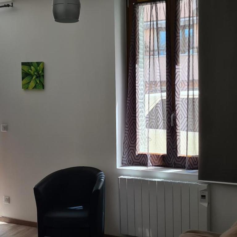 plaisirs de savoie - One-Bedroom Apartment - 10