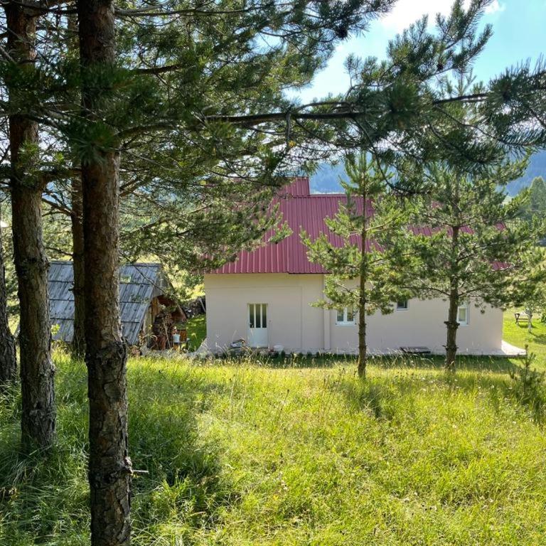 Apartman Bojovic - Three-Bedroom Apartment - 10