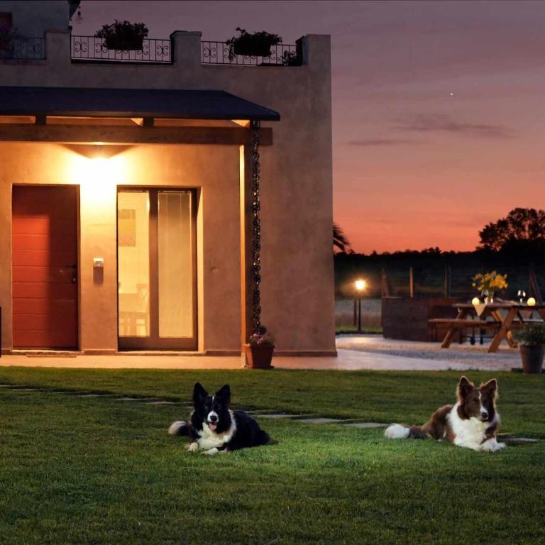 Casa Montefiore 13 LT nella tranquilla campagna Marchigiana - Appartamento - Piano Terra - 5
